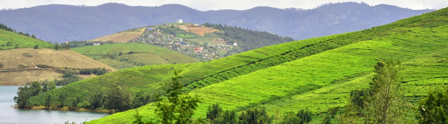 Find new adventures at the best resort in Ooty
