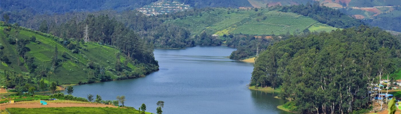 The643 offers luxury homestay in Ooty options for Families, Honeymoon Couples and Solo Travellers